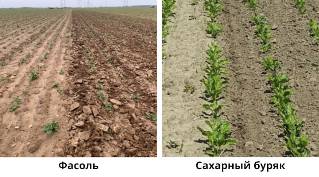 КОМПАКТНЫЙ