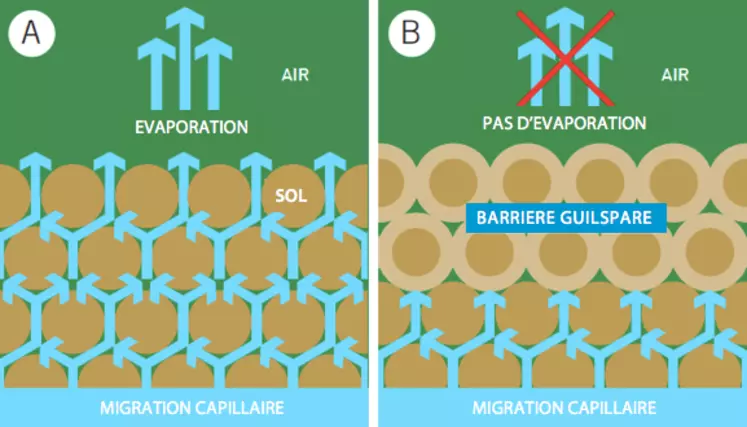 barriere guilsparepng